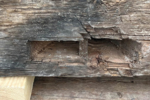 Nahaufnahme eines stark verwitterten, dunklen Holzbalkens mit einer rechteckigen Auskernaung.